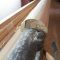 Set on the lathe