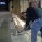 Cutting the garboard strake