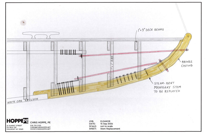 A schematic drawing of the stem of a bot and how it will be repaired